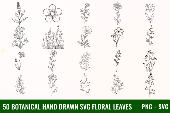 50 Botanical Hand Drawn SVG Floral Leave