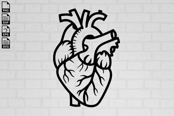 Anatomical Heart Svg, Floral Heart Svg