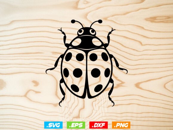 Floral Ladybug Svg, Cute Ladybug Svg